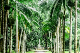 pexels-david-villanueva-11196986-6177109